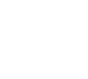 SaltyHub Logo